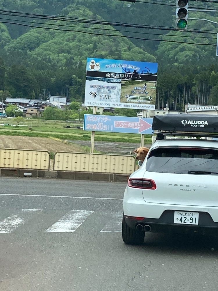 Howl Monさんが投稿した道の駅 マキノ追坂峠に関する口コミの画像