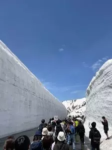 雪の大谷