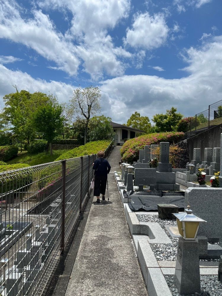 chou chou tabiさんが投稿した飯盛城跡に関する口コミの画像