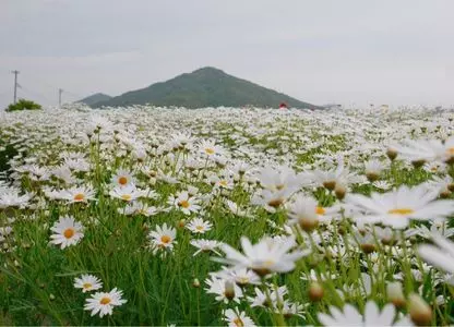フラワーパーク浦島