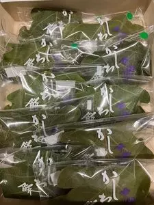 清月 南アルプス本店（せいげつ）