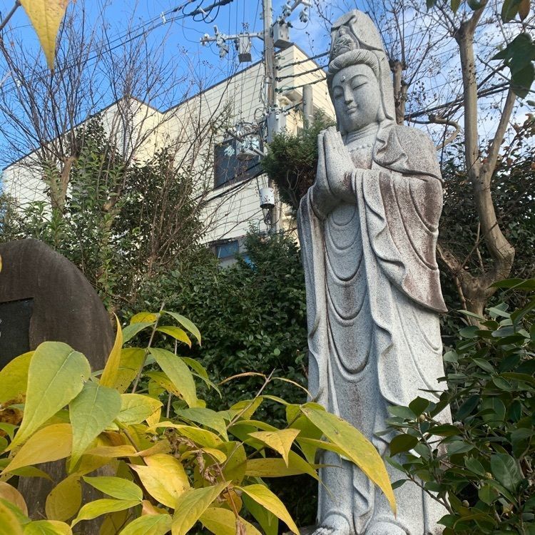 blossom&C7の画像