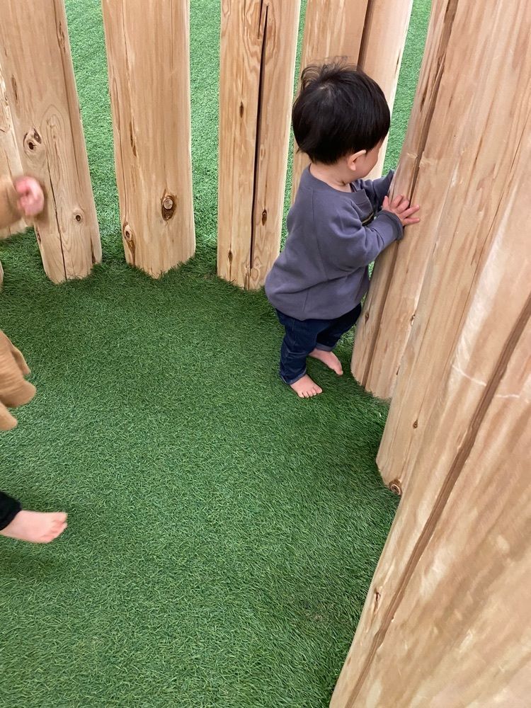 m.さんが投稿した森のわくわくの庭　輪之内店に関する口コミの画像