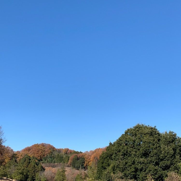シュガーさんが投稿した梅ノ郷ゴルフ倶楽部に関する口コミの画像