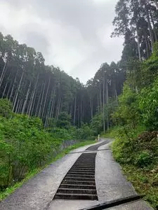 城山公園（大分県佐伯市）