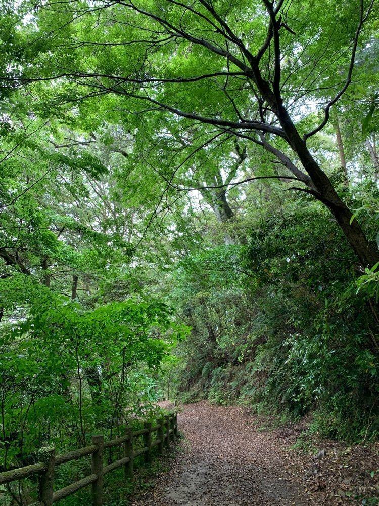 formal_cafeteria_8688さんが投稿した城山公園（大分県佐伯市）に関する口コミの画像