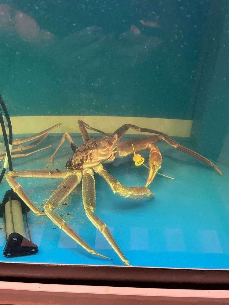 りおん💓さんが投稿した信長水産 鮮魚直売所に関する口コミの画像