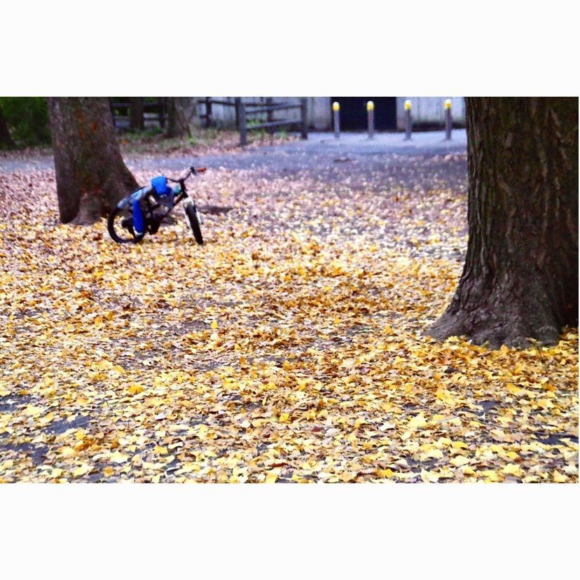 junkunさんが投稿した善福寺に関する口コミの画像