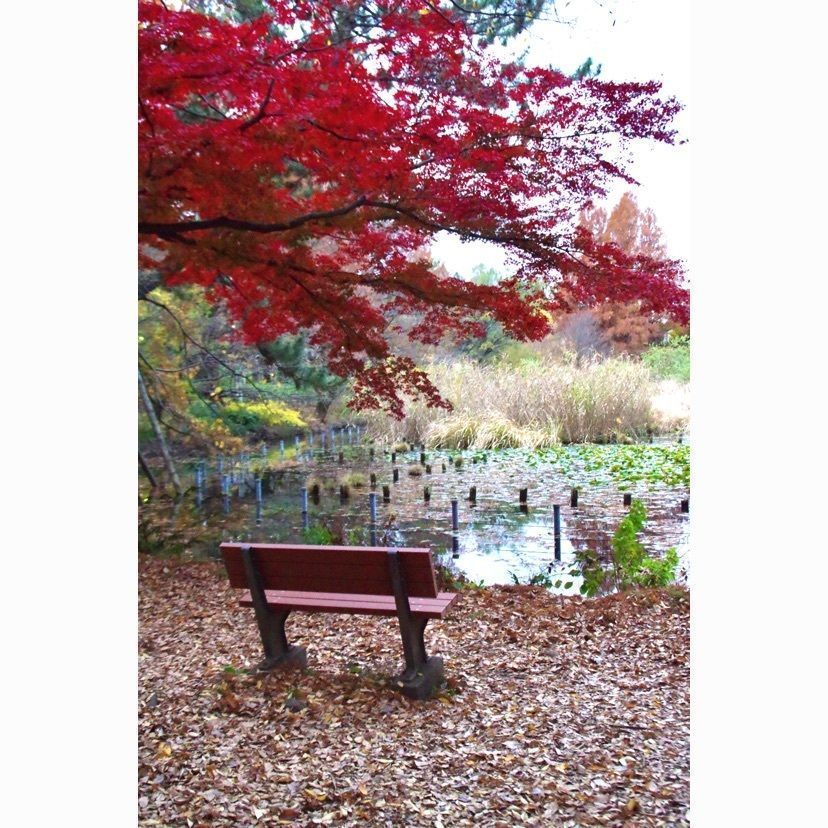 junkunさんが投稿した善福寺に関する口コミの画像