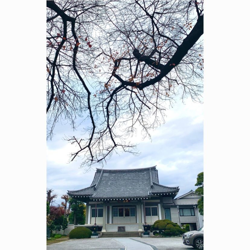 junkunさんが投稿した善福寺に関する口コミの画像
