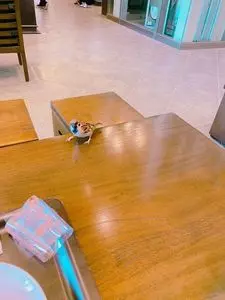 スターバックス・コーヒー 門司港駅店