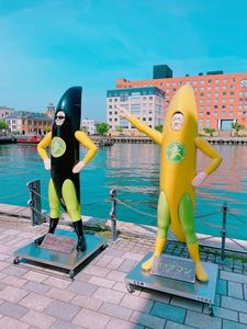 ドルチェ(DOLCE) 3枚目