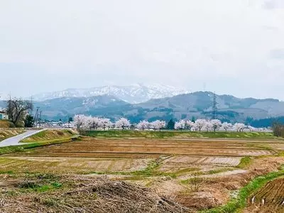小国川