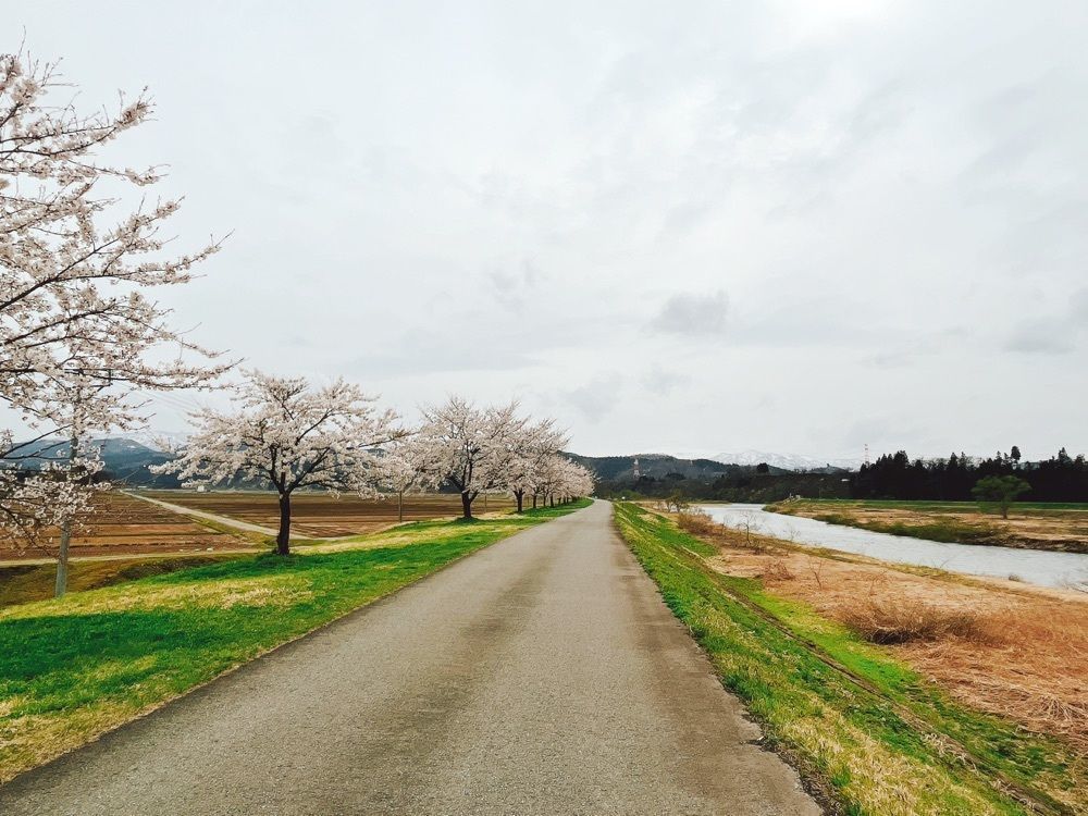 猫なぎ。さんが投稿した小国川に関する口コミの画像