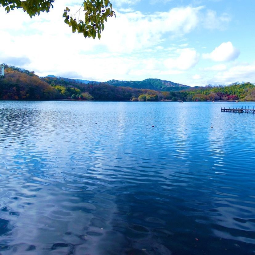 ＪＵNさんが投稿した一碧湖に関する口コミの画像
