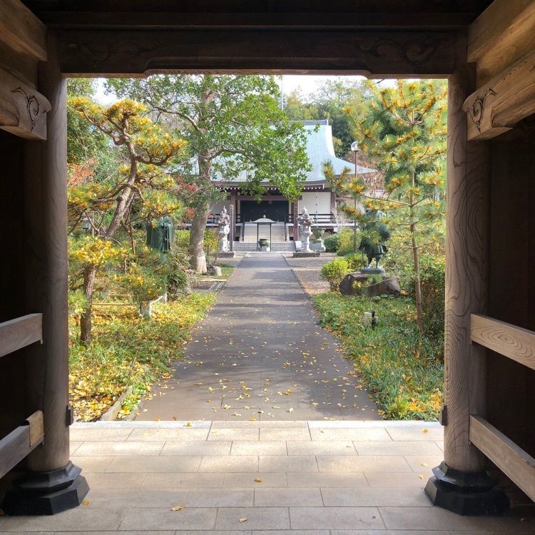 tomorrowさんが投稿した徳善寺の萩に関する口コミの画像