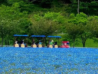 神崎農村公園ヨーデルの森