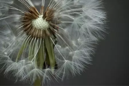 山のふるさと村