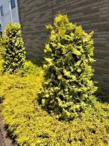 セブン-イレブン 桐生バイパス店
