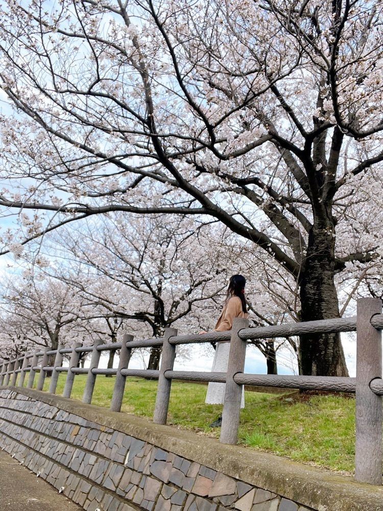 みかんさんが投稿した荒川赤羽桜堤緑地に関する口コミの画像