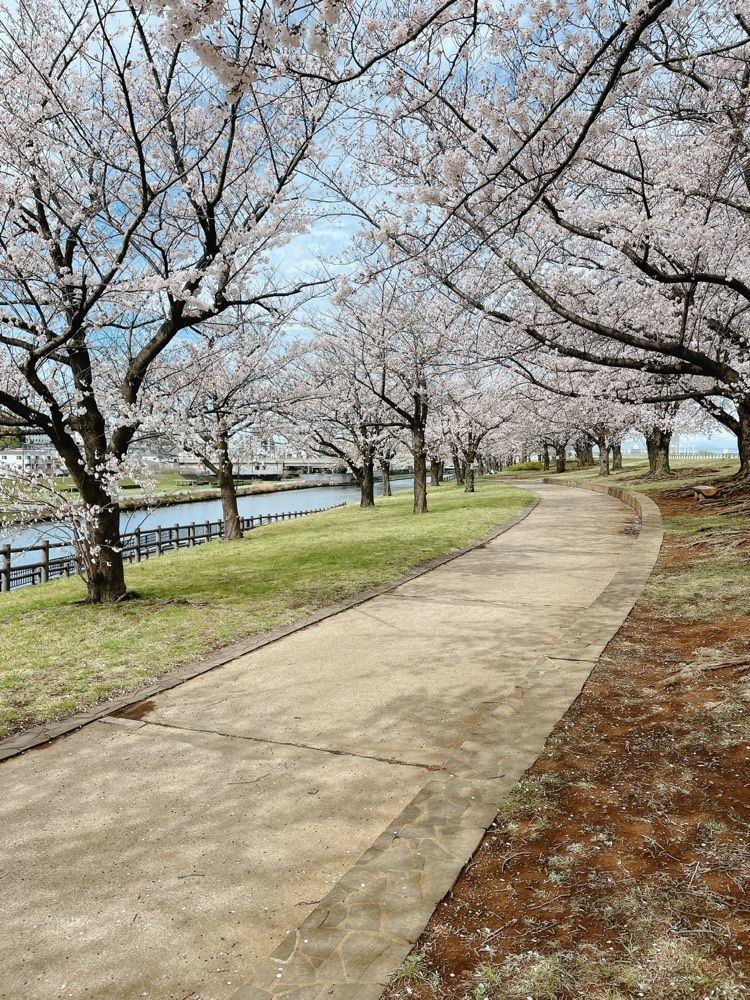 みかんさんが投稿した荒川赤羽桜堤緑地に関する口コミの画像