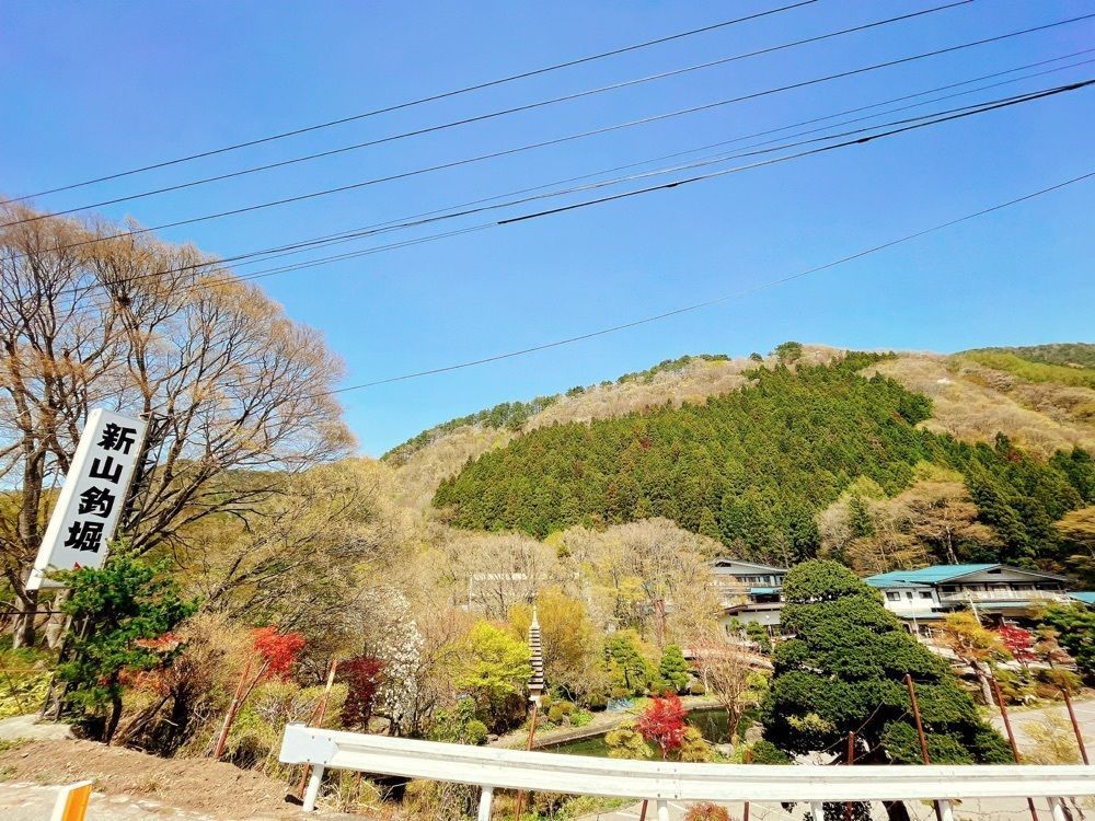 猫なぎ。さんが投稿した新山釣堀に関する口コミの画像