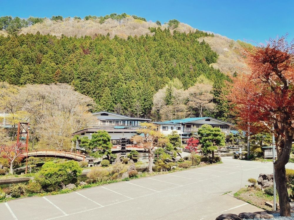 猫なぎ。さんが投稿した新山釣堀に関する口コミの画像