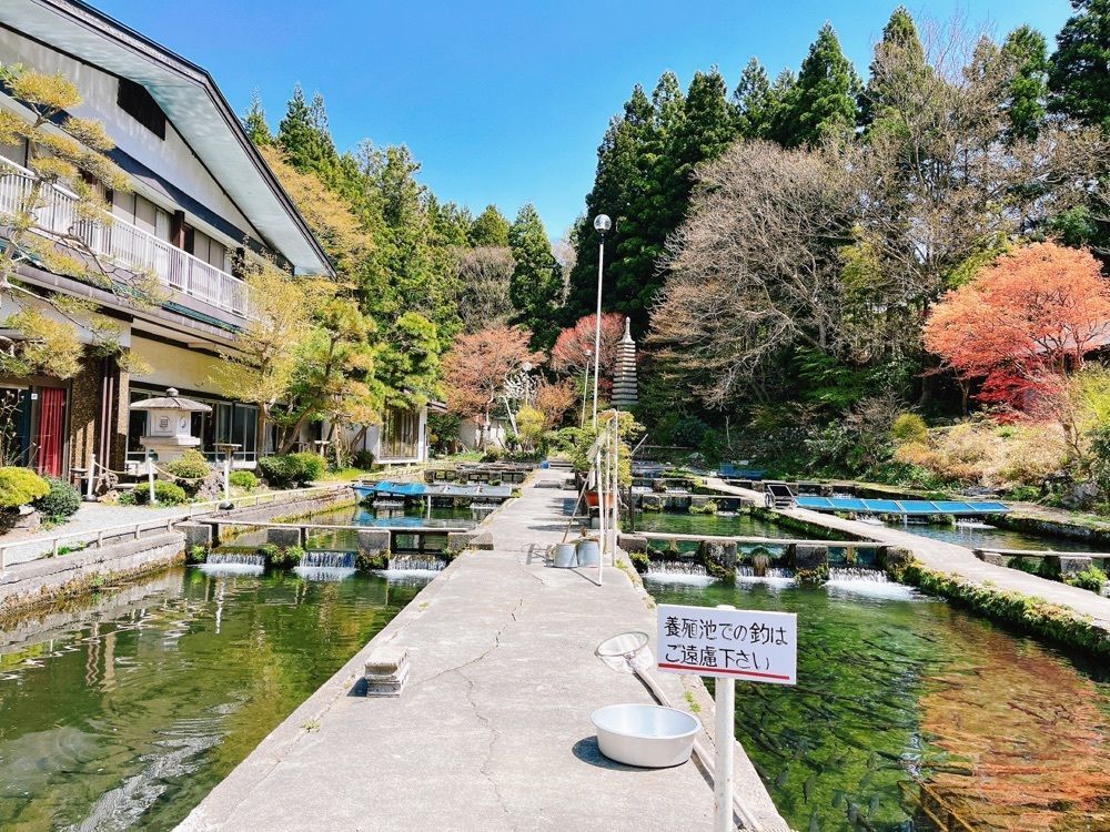 猫なぎ。さんが投稿した新山釣堀に関する口コミの画像