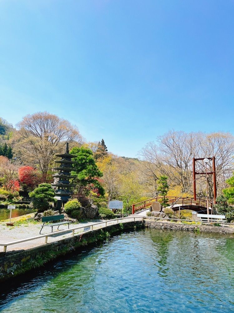 猫なぎ。さんが投稿した新山釣堀に関する口コミの画像