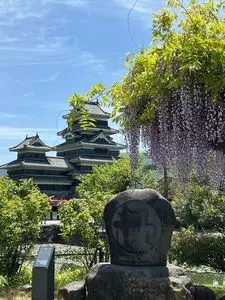 松本城公園