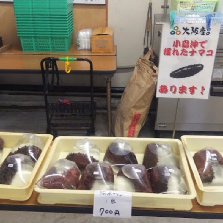 ＤＪゴン太さんが投稿した道の駅 とっとパーク小島に関する口コミの画像