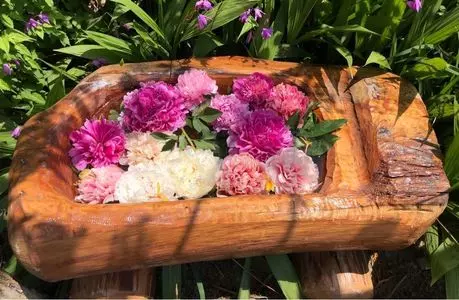 富岡しゃくやく園