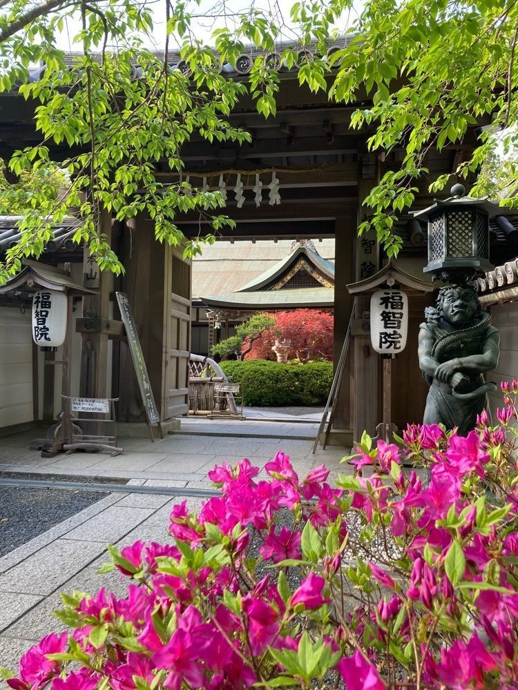Mさんが投稿した高野山温泉　福智院に関する口コミの画像
