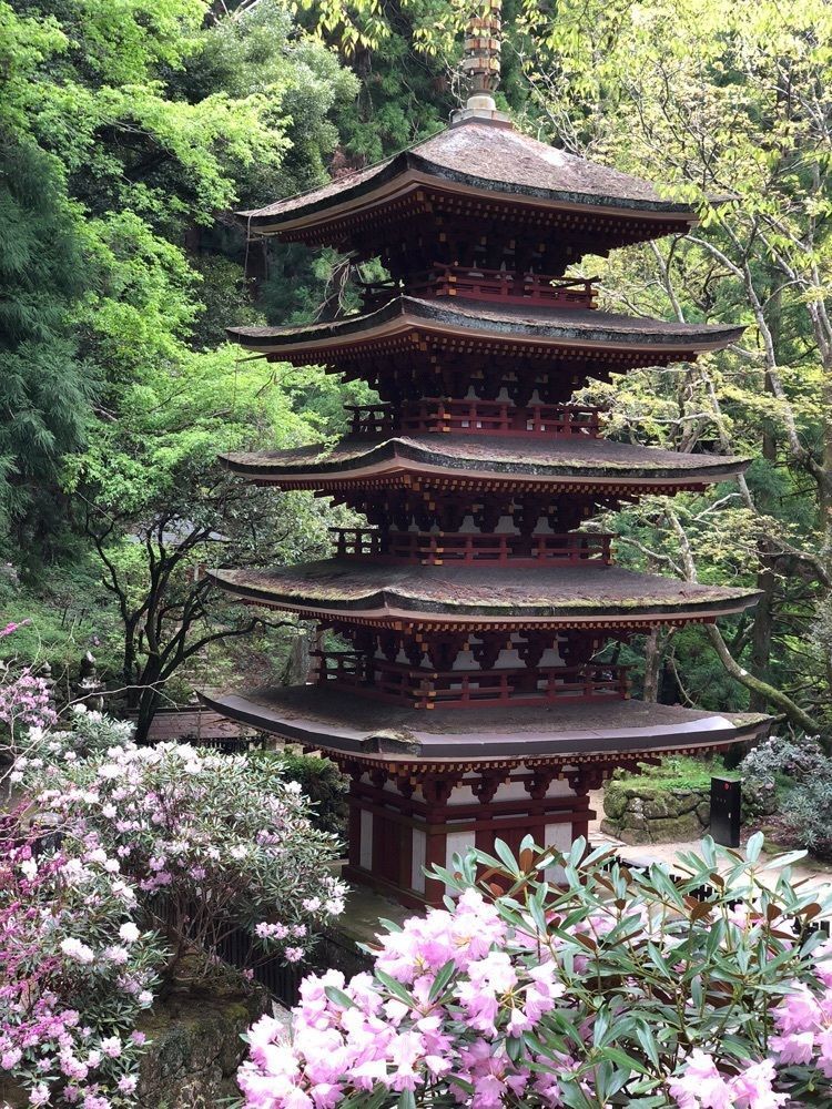 nicanさんが投稿した室生寺の石楠花に関する口コミの画像