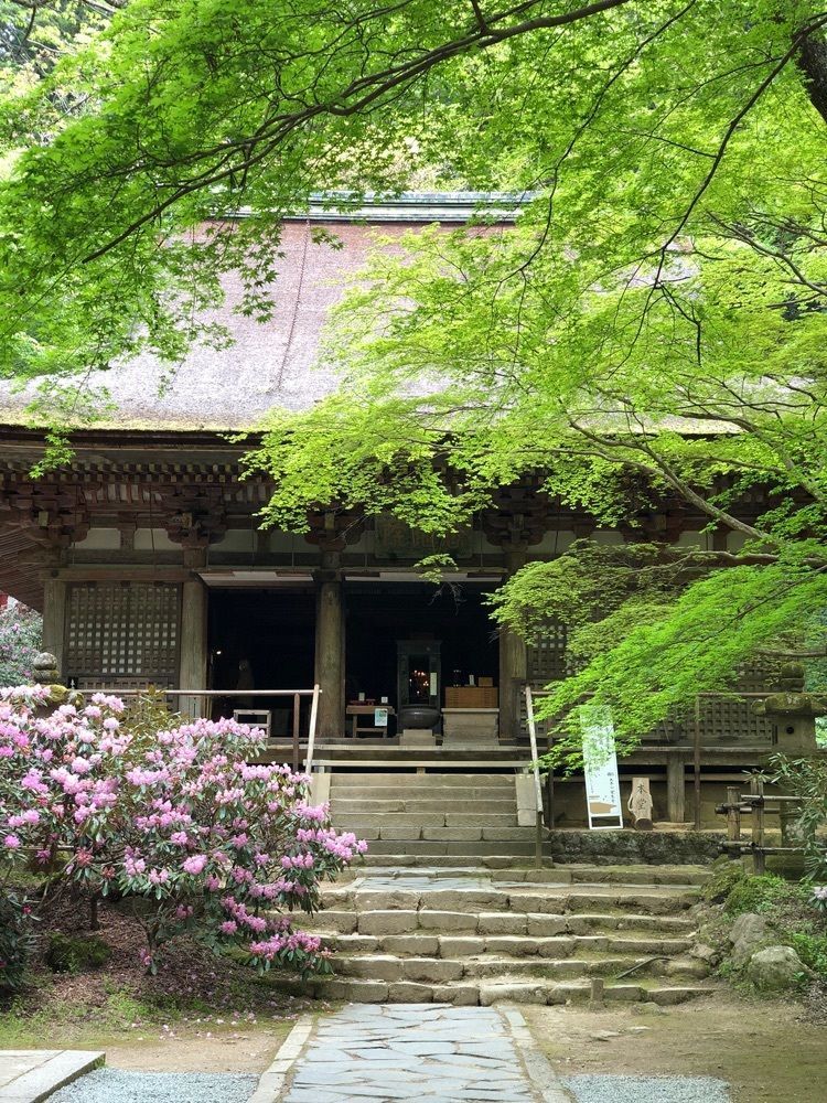 nicanさんが投稿した室生寺の石楠花に関する口コミの画像