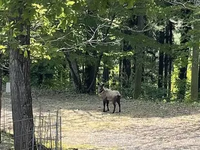 深谷温泉