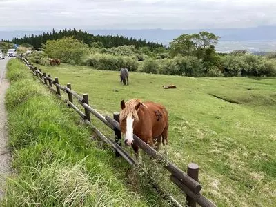 草千里展望所