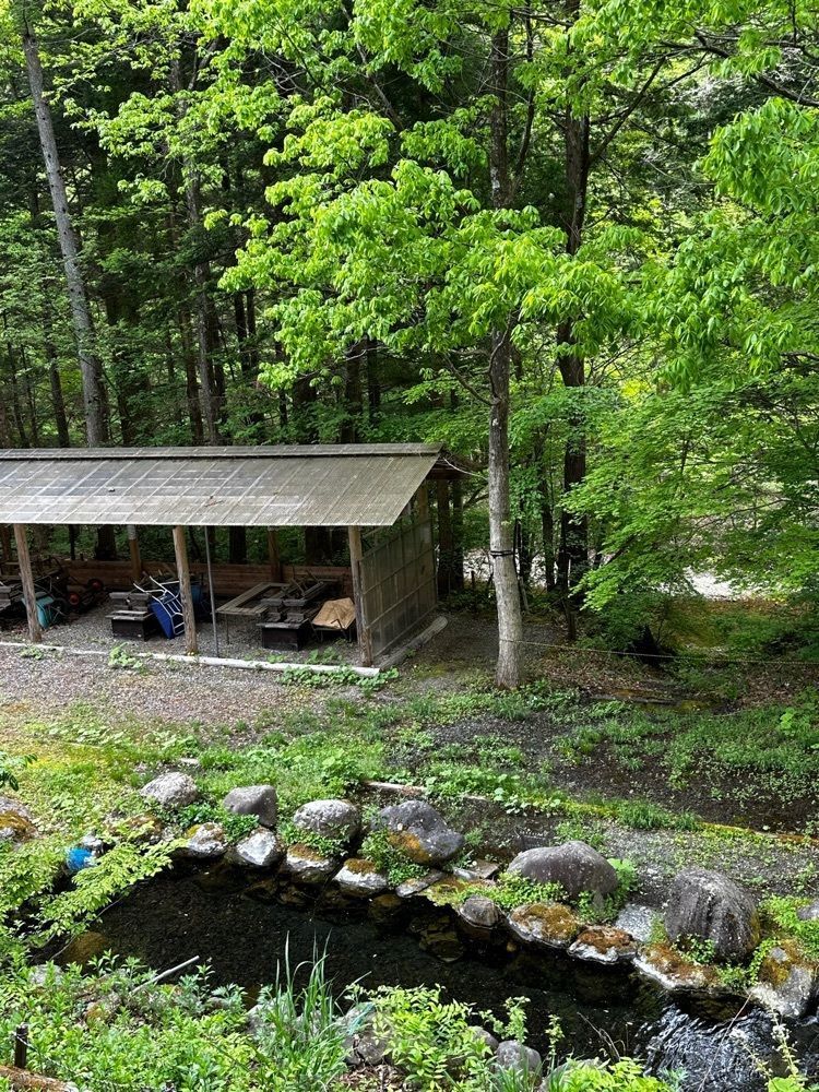 かめ_メグミさんが投稿した鈴森の湯に関する口コミの画像