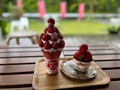苺の伊藤園