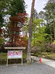 大門
