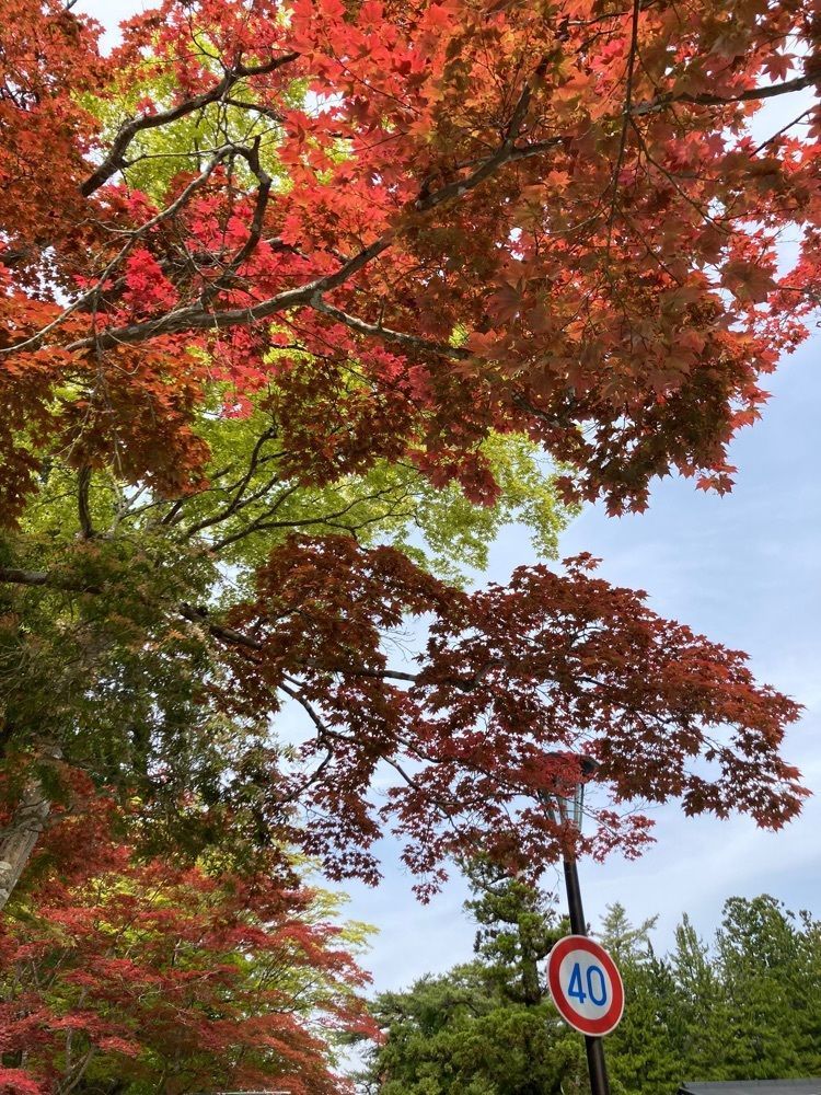 Mさんが投稿した大門に関する口コミの画像