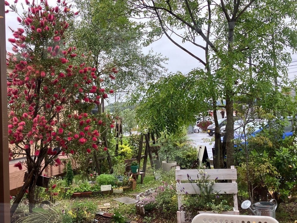 べべさんが投稿したKing Farm Cafe（キングファームカフェ）に関する口コミの画像