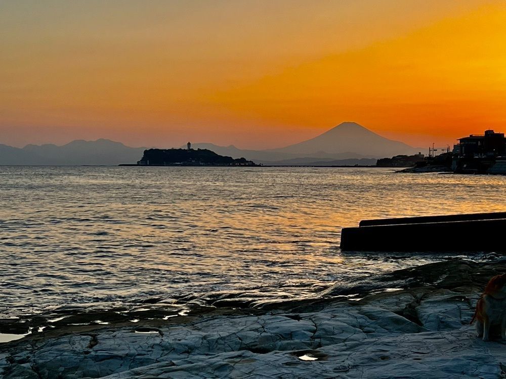 ビンカさんが投稿した稲村ケ崎温泉に関する口コミの画像
