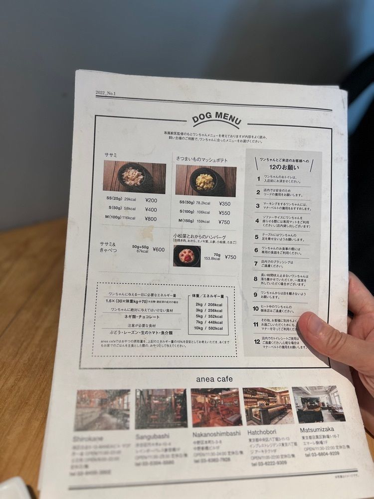 🤎アイヒンまま🤎さんが投稿したアネアカフェ 門前仲町（anea cafe）に関する口コミの画像