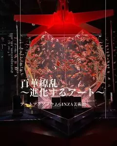みのる食堂 三越銀座店 2枚目
