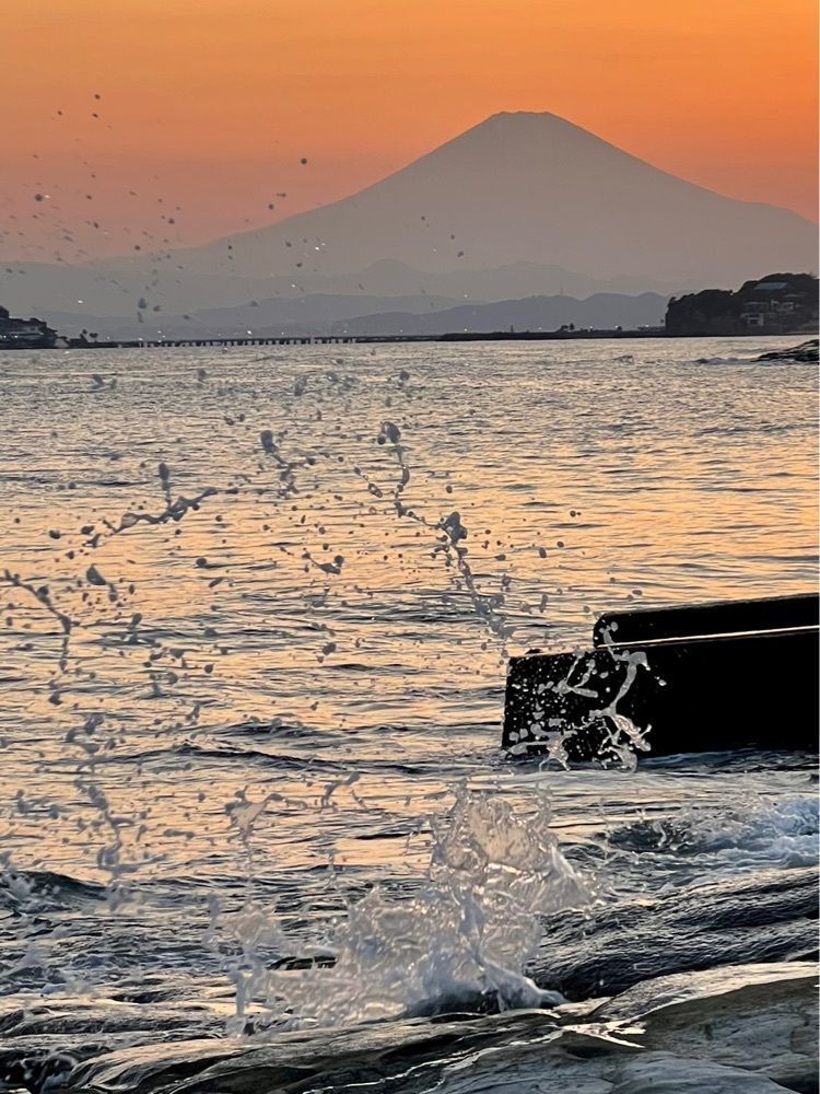 ビンカさんが投稿したレストラン MAIN Sundishに関する口コミの画像