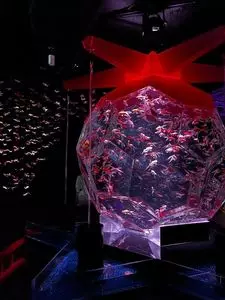 アートアクアリウム美術館GINZAミュージアムショップ（アートアクアリウム美術館 銀座 ミュージアムショップ）