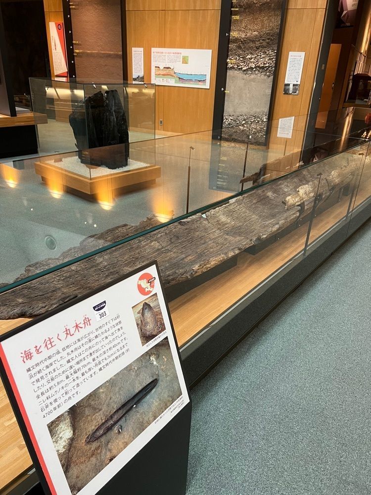 🤎アイヒンまま🤎さんが投稿した北区飛鳥山博物館に関する口コミの画像