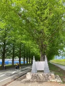 高島市マキノ農業公園マキノピックランド