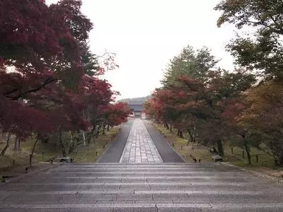 仁和寺御室会館